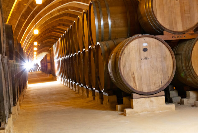 Visita guidata cantine Florio. Bottaia